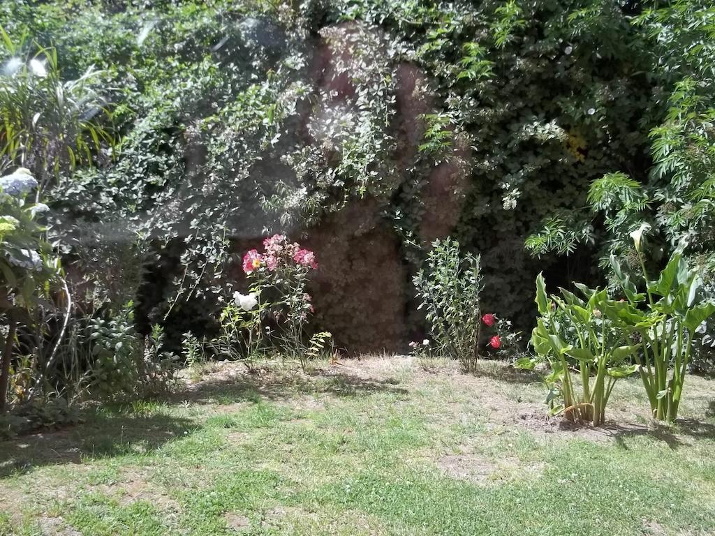 Omi Kika B&B 빌라리카 객실 사진